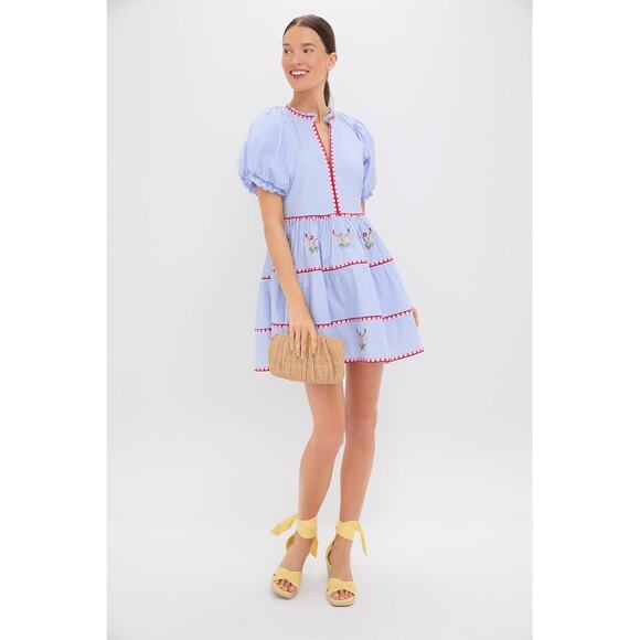 HYACINTH HOUSE Blue Pinstripe Embroidered V-Neck Lillian Mini Dress Size XS NWT - Picture 7 of 8